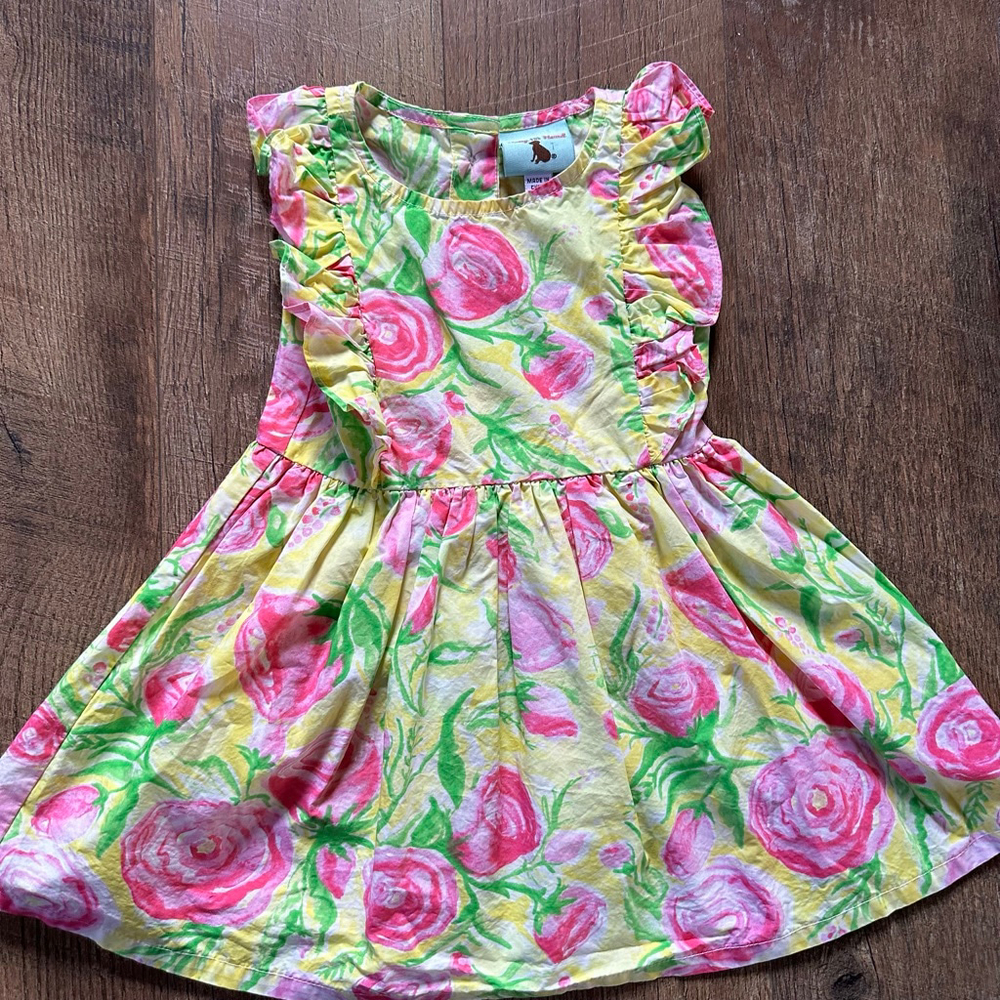 Girls Healey and the Hound Casual Dress 2T Yellow Pink Floral